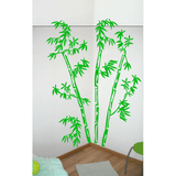 Bambous 1m90
