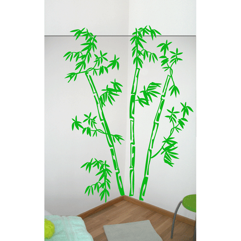Bambous 1m90