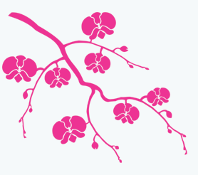 Branche d'orchidées