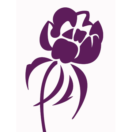 Bouton de Pivoine - 1m30