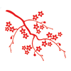 Cerisiers du Japon