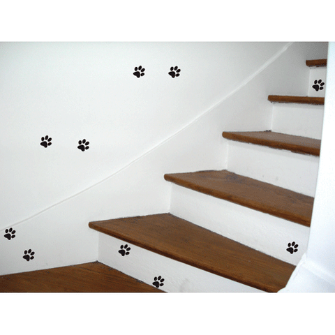 Empreintes de chat