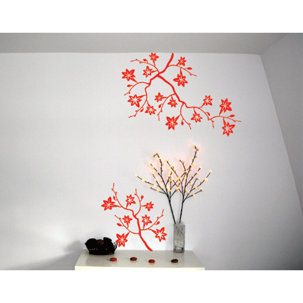 Branche Exotique
